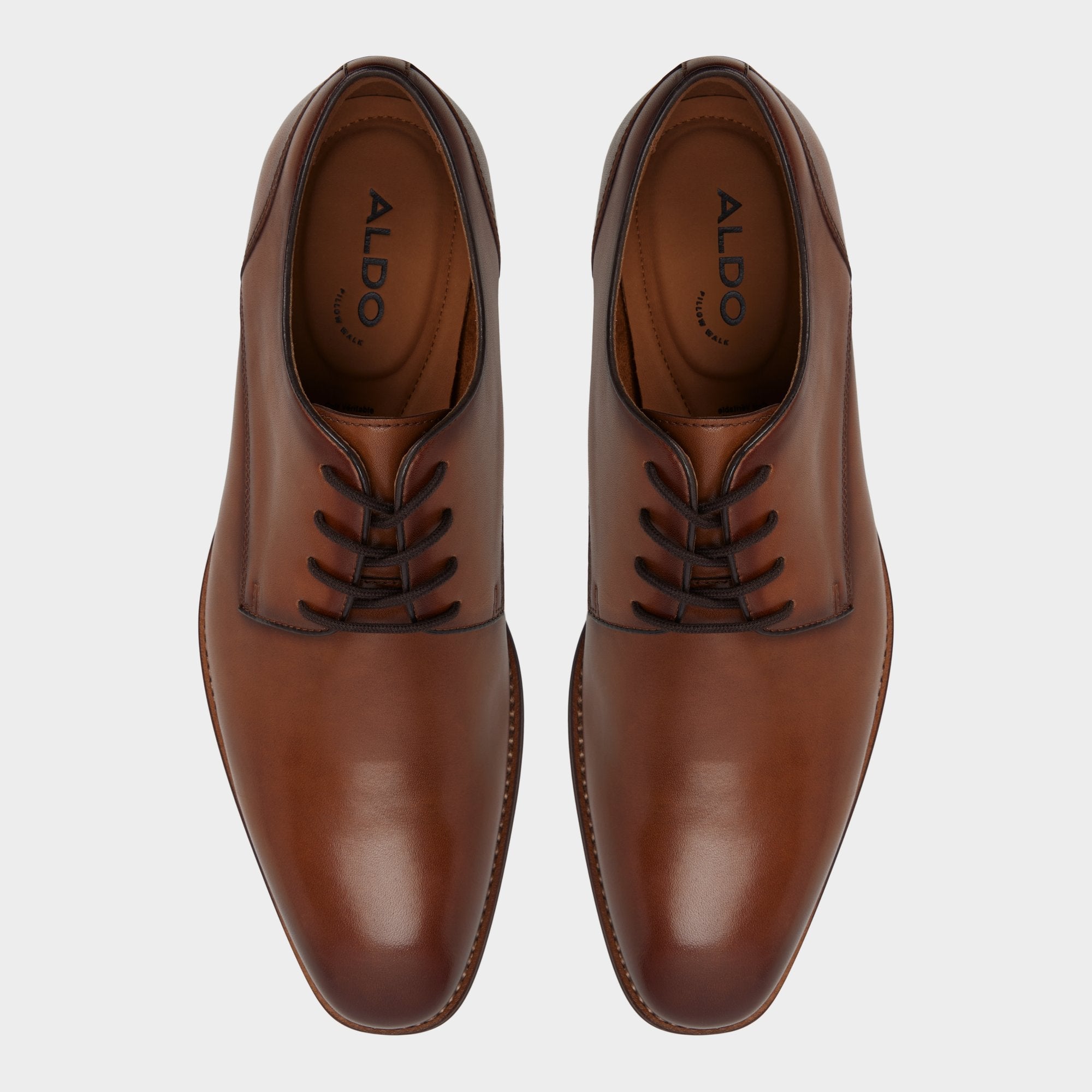 Aldo Allegro in Cognac - Oxford shoe Cognac