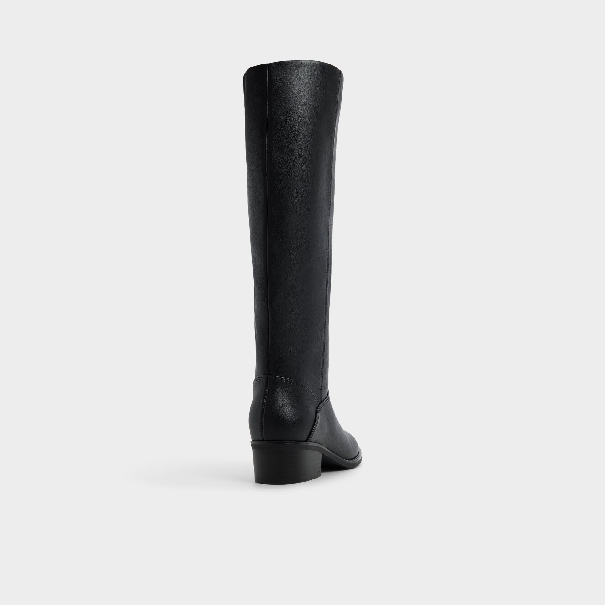 Aldo Kaydienh in Black - Knee-high boot, Block heel Black
