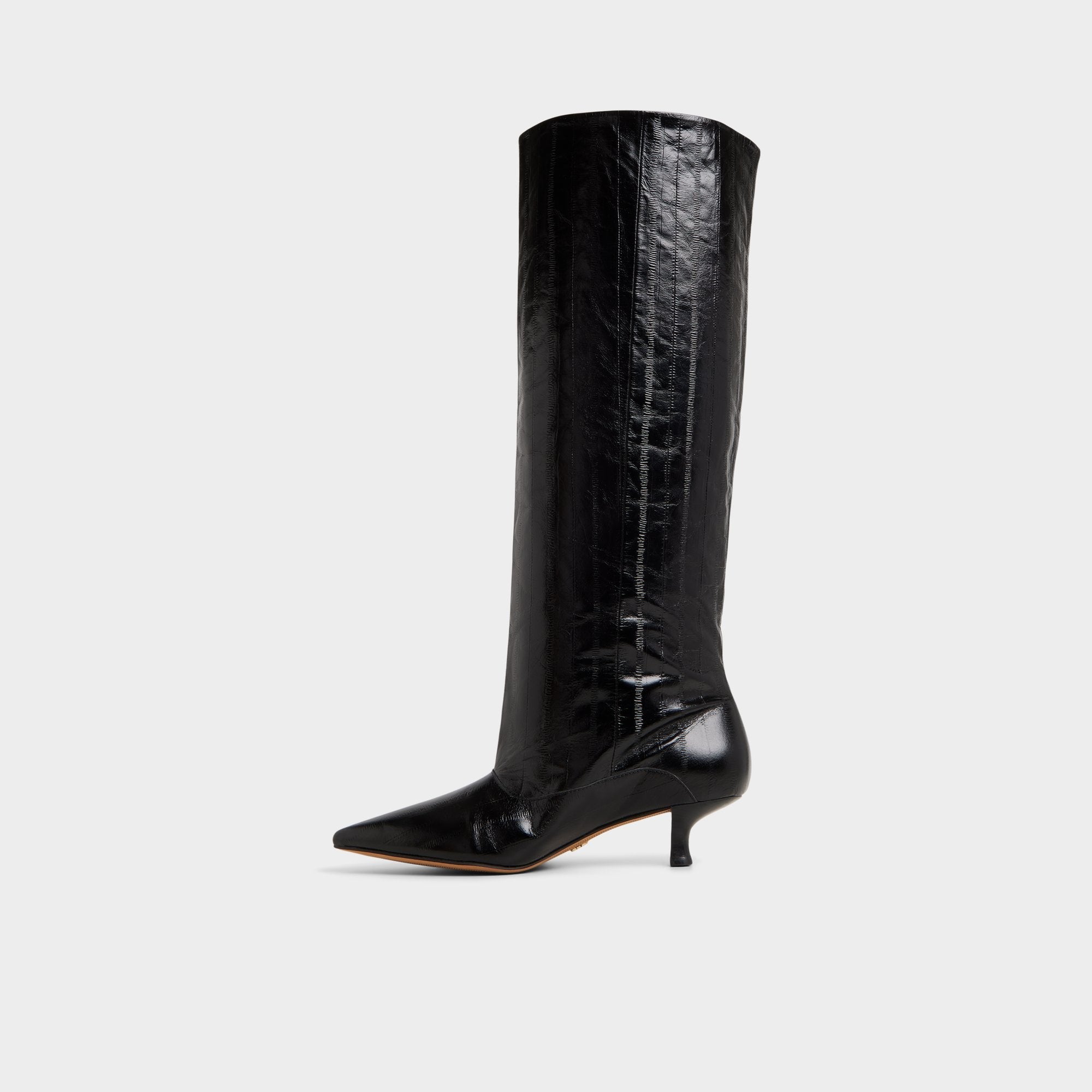 Aldo Everose in Black - Knee-high boot, Kitten heel Black