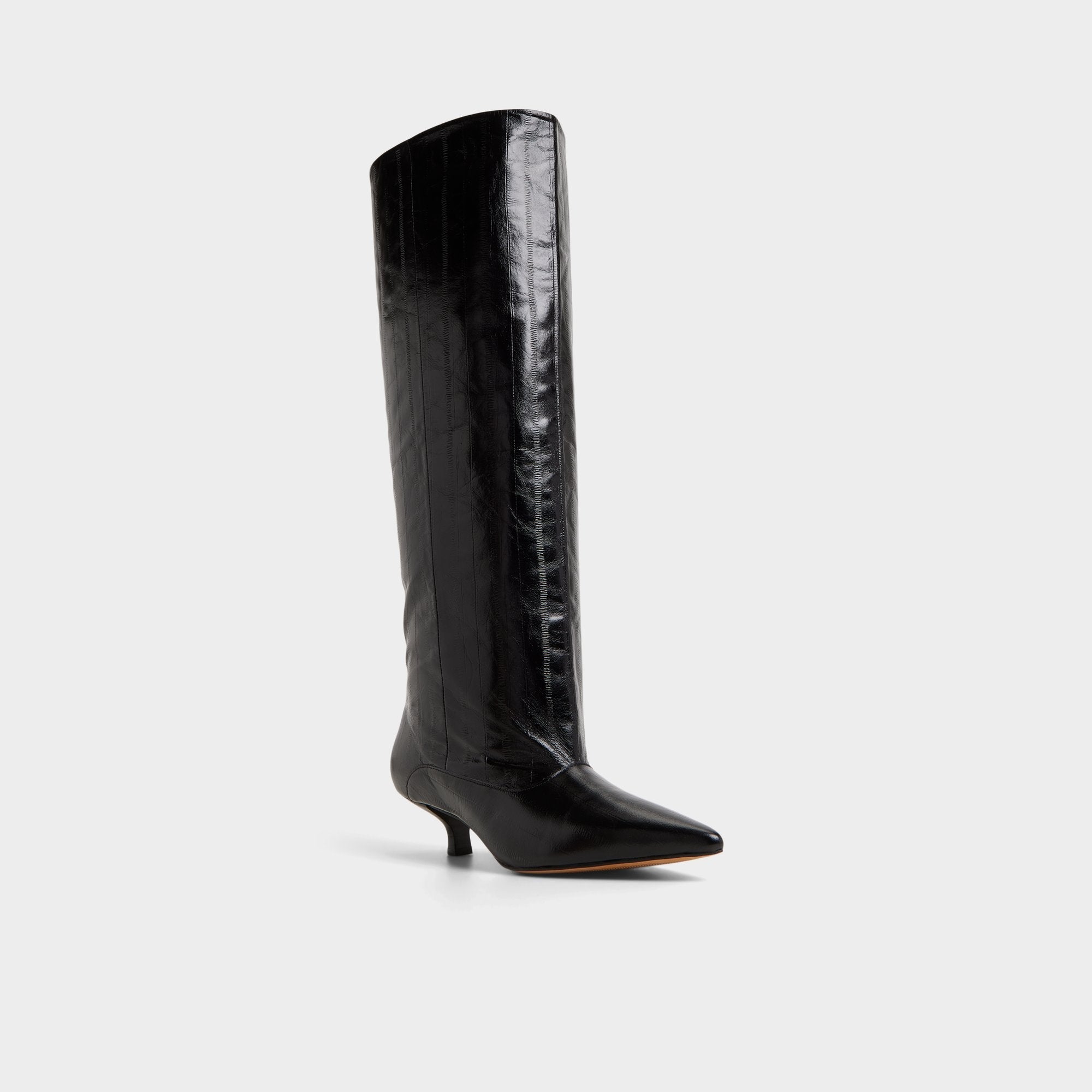 Aldo Everose in Black - Knee-high boot, Kitten heel Black