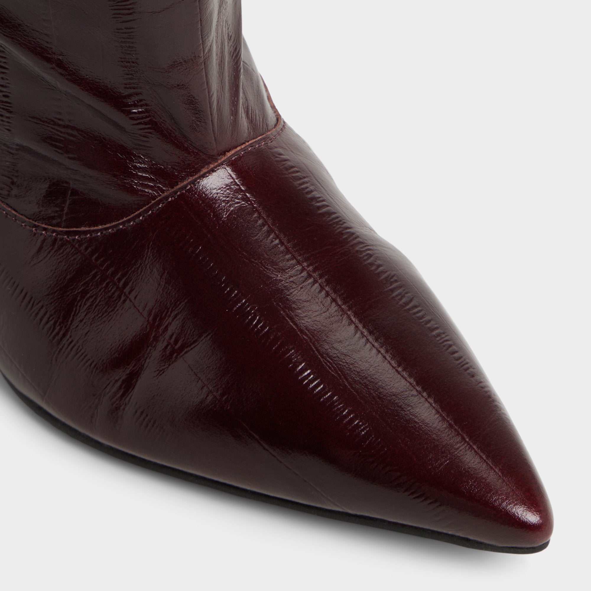 Aldo Everose in Bordo - Knee-high boot, Kitten heel Bordo