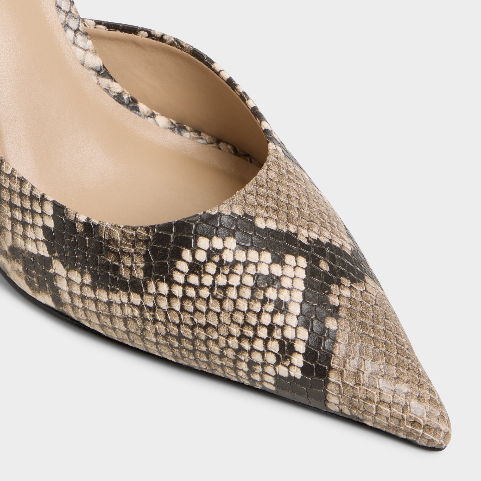 Aldo Beatrixy Python Women's Heeled mules - Heeled mule, Stiletto heel Python