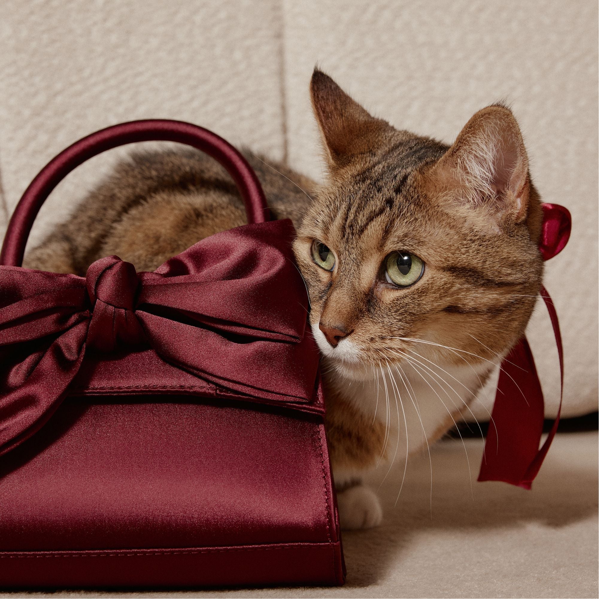 Aldo Decadencee in Dark Red - Top handle bag Dark Red