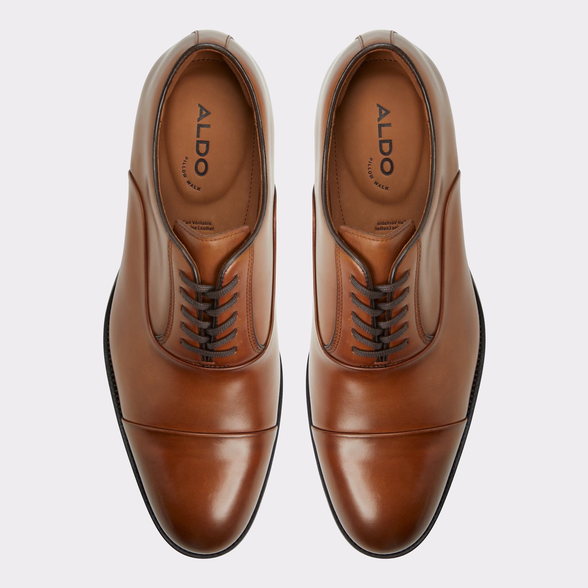 Aldo Lazio in Cognac - Oxford shoe Cognac