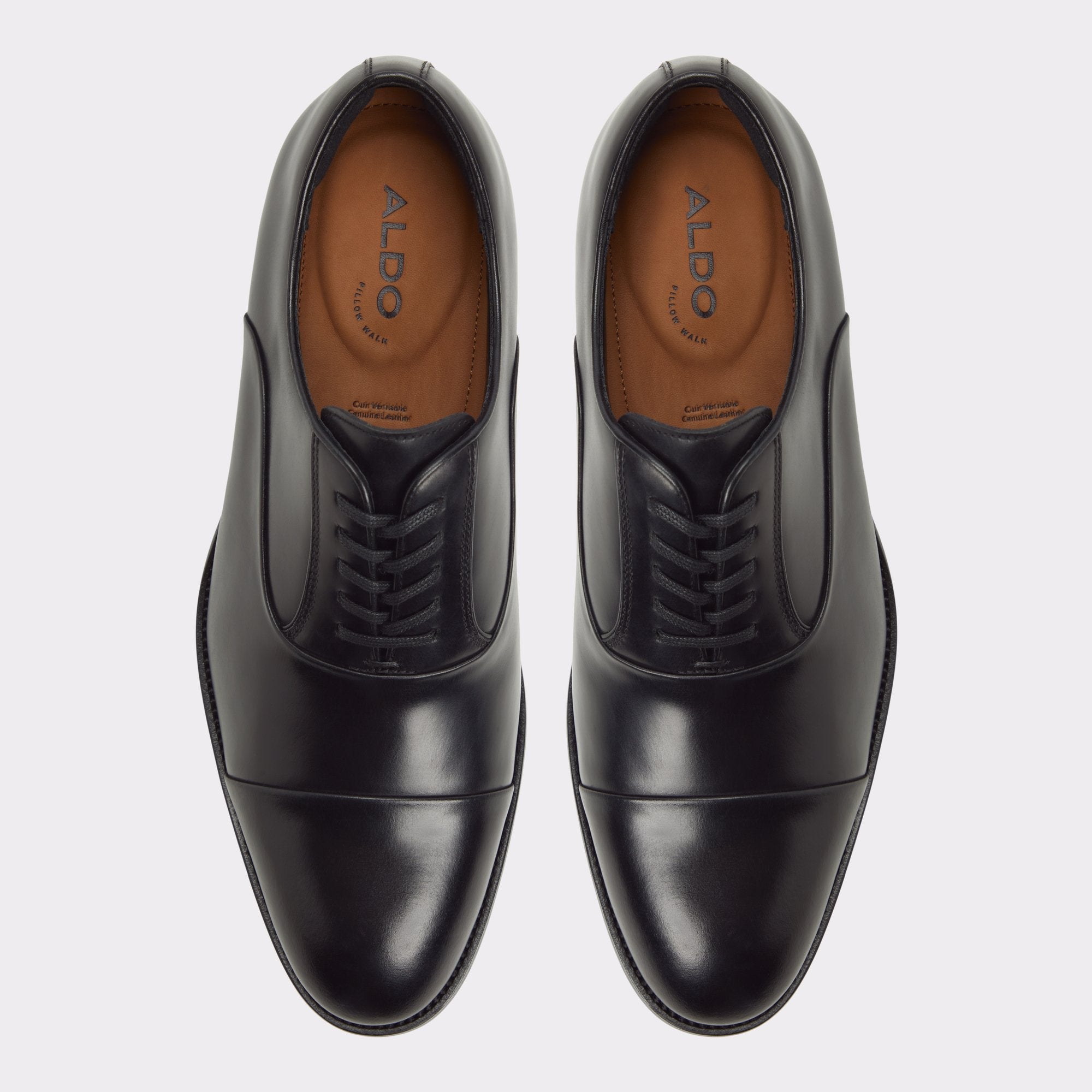 Aldo Lazio in Black - Oxford shoe Black