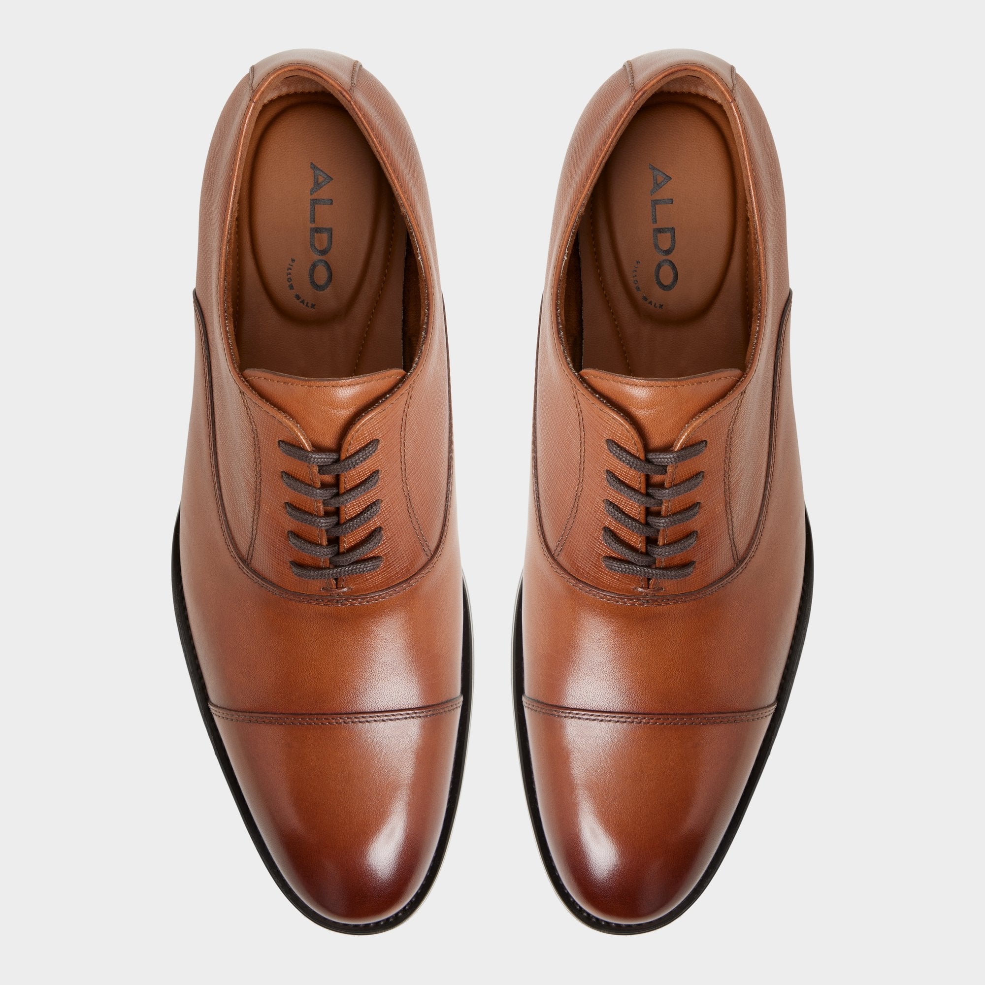 Aldo Reece in Cognac - Oxford shoe Cognac