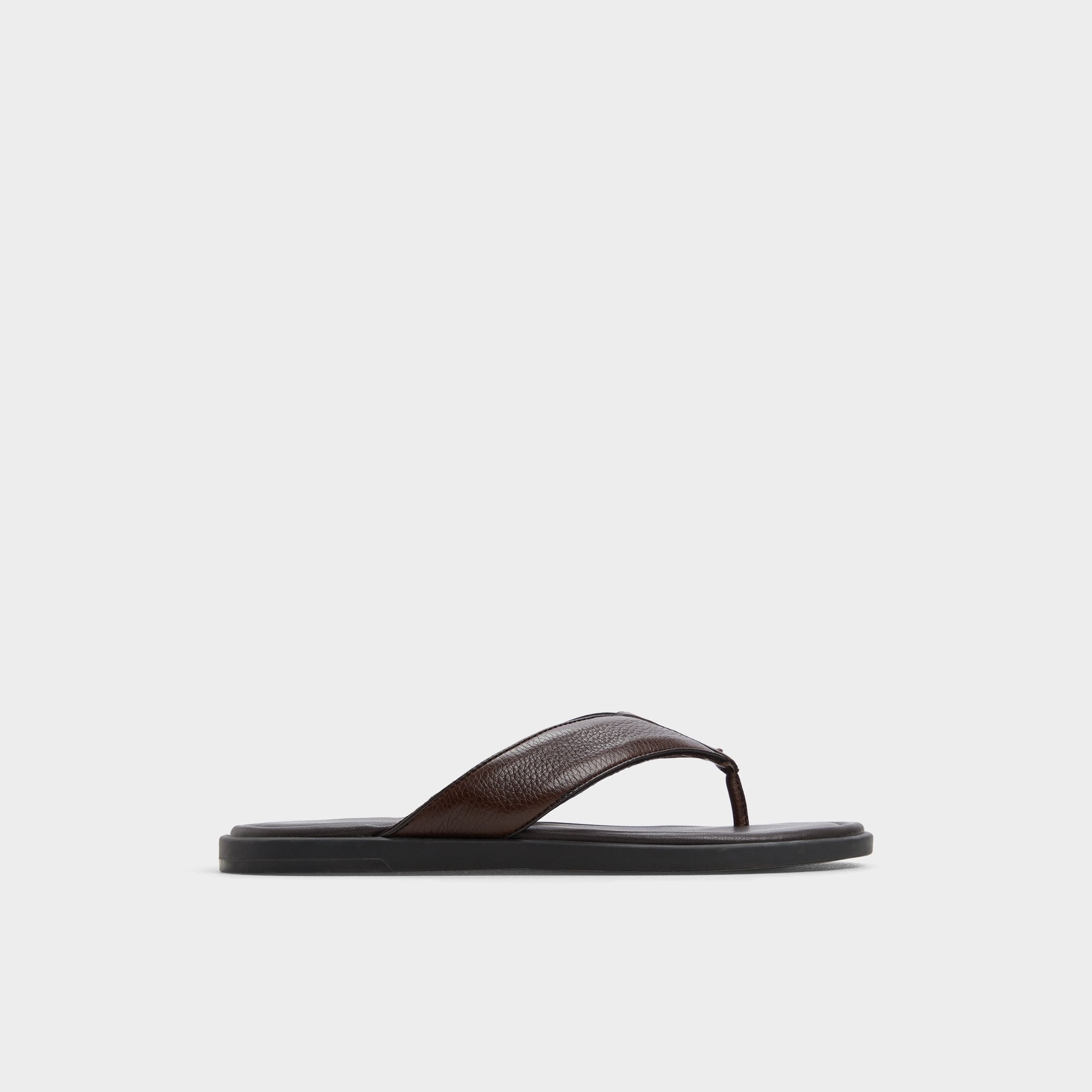 Aldo Tazzo Dark Brown Men's Flip flops - Flip flop Dark Brown